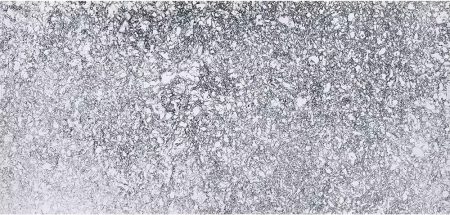 Cambria Signature 30mm Rose Bay Polished
